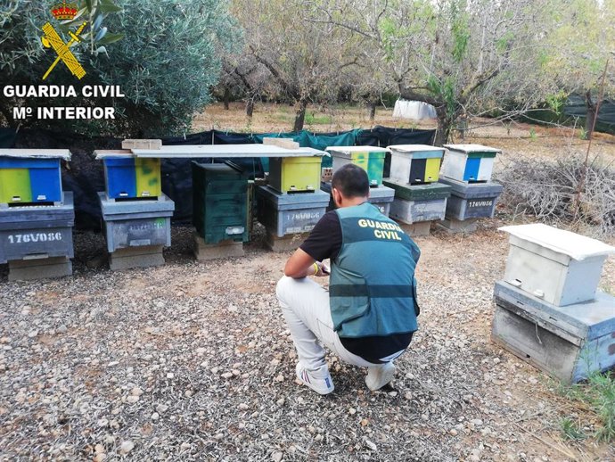 Operación contra el robo de colmenas de abejas