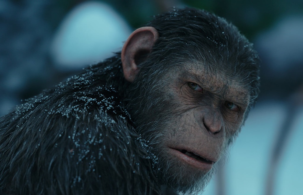 Cuántas Películas Hay Del Planeta Delos Simios