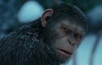 Disney planea nuevas películas de El Planeta de los Simios