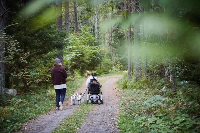 Vista trasera de un joven cuidador masculino con una mujer discapacitada y un perro en el bosque