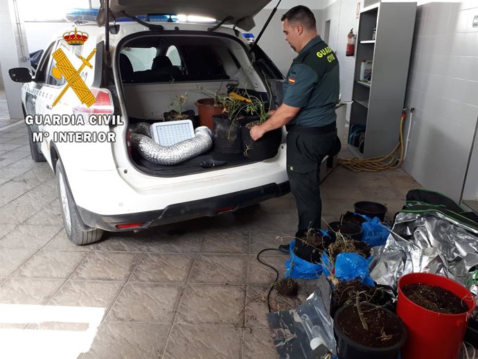 Almería.-Sucesos.-Detenidos por cultivar marihuana al intervenir Guardia Civil e