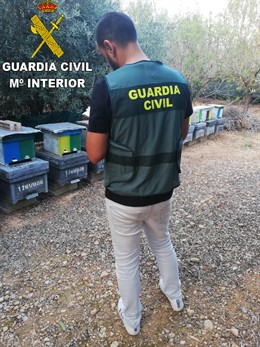 Guardia Civil