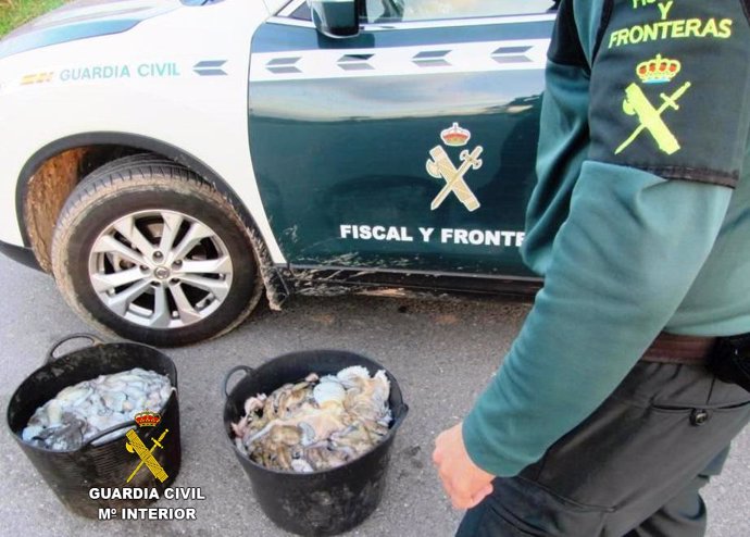 Cádiz.-Junta y Guardia Civil actúan para requisar artes de pesca ilegales de pul