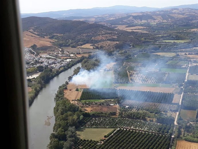 Imagen del incendio en San Roque