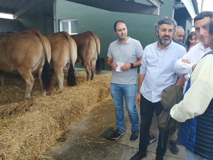 De izquierda a derecha, el alcalde de Pravia, David Álvarez; el consejero de Desarrollo Rural, Agroganadería y Pesca, Alejandro Calvo, y el alcalde de Llanera, Gerardo Sanz, en la feria ganadera.