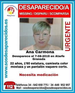 Cartel de la desaparición de Ana Carmona