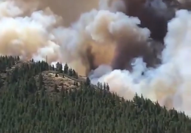 Se declara un incendio forestal en Las Peñas, en Artenara
