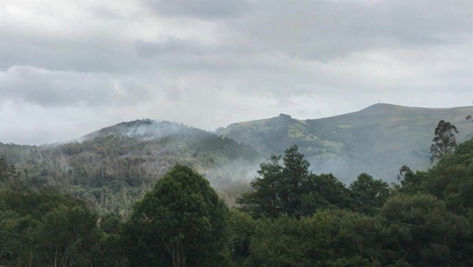 Incendio forestal en San Pedro de Paredes, Valdés.