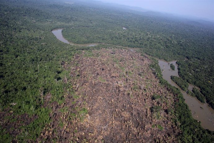 Deforestación en la región amazónica de Novo Progresso (Brasil)
