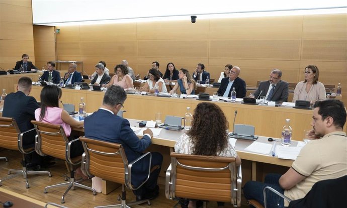 Grupo nacionalista de Coalición Canaria-PNC en el Cabildo de Tenerife
