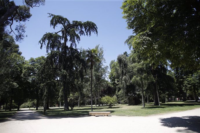 Passeig amb arbres i vegetació al Parc del Retir de Madrid.
