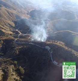 Incendio en un paraje forestal de Pizarra (Málaga)