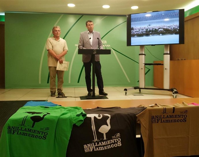 Presentación del anillamiento de flamencos en la Laguna de Fuente de Piedra 2019