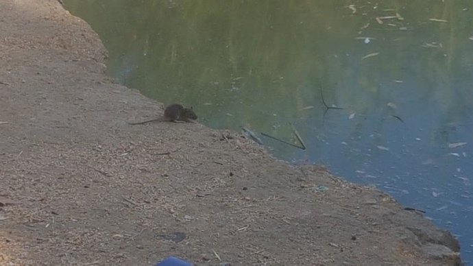 Vídeo de la noticia