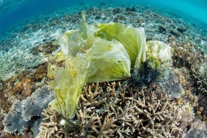 El impacto humano en los océanos ya se duplica cada década