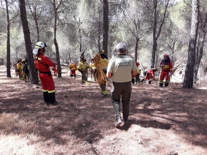 Efectivos del Infoca/Archivo