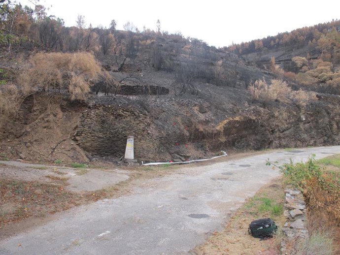 Detenidos dos hombres como presuntos autores materiales de varios incendios forestales el pasado mes en Lugo