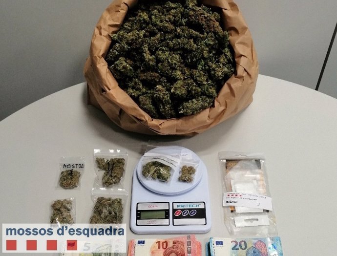 Detenidos un hombre y un menor por presuntamente vender marihuana en Lleida