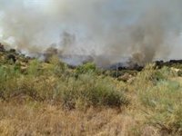 Investigadas tres personas por el incendio forestal de Villanueva del Rey (Córdoba)