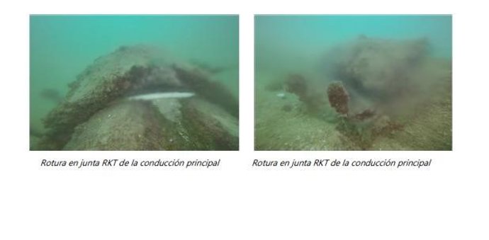 El PP pedirá la comparecencia "urgente" de Moll por "mentir" sobre el origen de