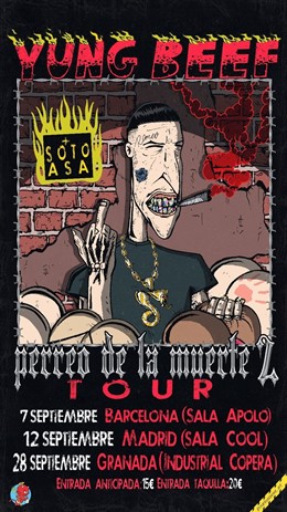 Cartell dels concerts de Young Beef