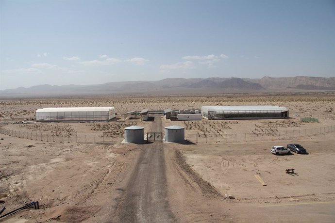 Un proyecto fomentará la agricultura sostenible en el desierto de Jordania