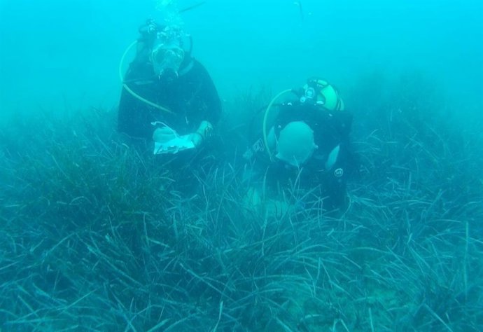 Buceadores en la playa de la Almard