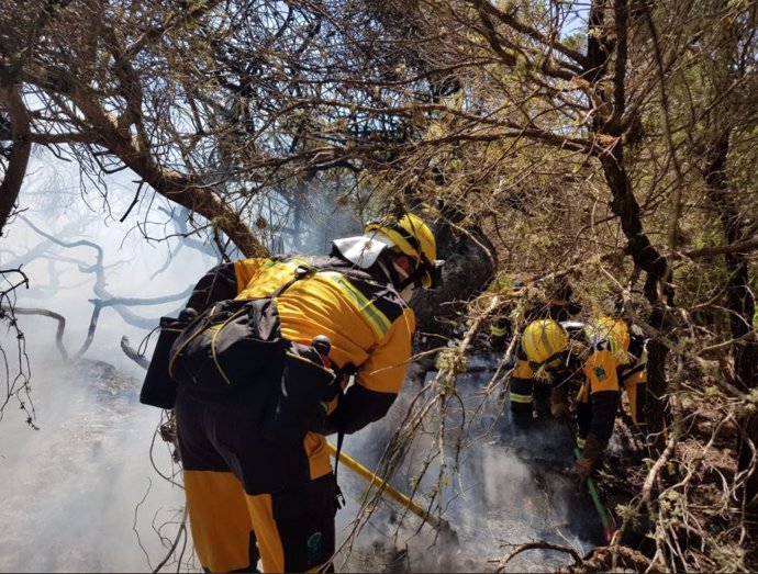 Imagen del incendio forestal declarado en Ses Covetes.