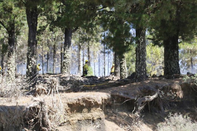 Incendio en Artenara, Gran Canaria