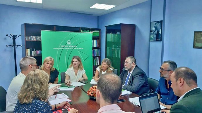 La delegada de la Junta de Andalucía en Cádiz, Ana Mestre, en una reunión de trabajo para hacer balance de la fase de ida de la OPE 2019