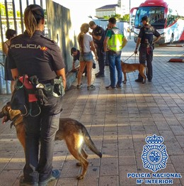 Actuación de la Policía Nacional con perros