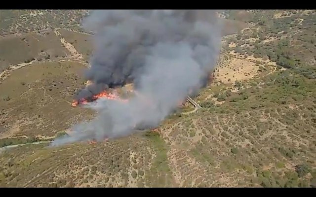 Incendio forestal en El Madroño (Sevilla)