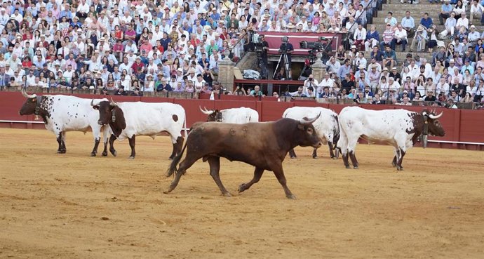 Imagen de recurso de corrida de abono de la Feria de Abril con toros de Miura.