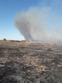 Extinguido el incendio de Mairena (Sevilla) con dos bomberos lesionados durante la lucha contra el fuego
