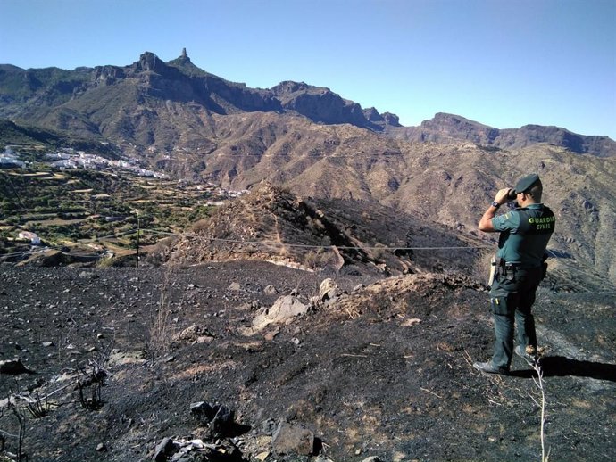 Un guardia civil observa la zona afectada por el incendio de Gran Canaria