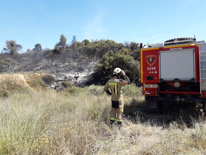Los bomberos de la DPZ trabajan en la extinción de un incendio forestal en Maella.