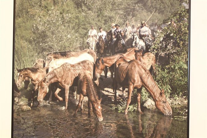 Imagen de la exposición fotográfica itinerante 'Saca de las yeguas" de la Diputación de Huelva.