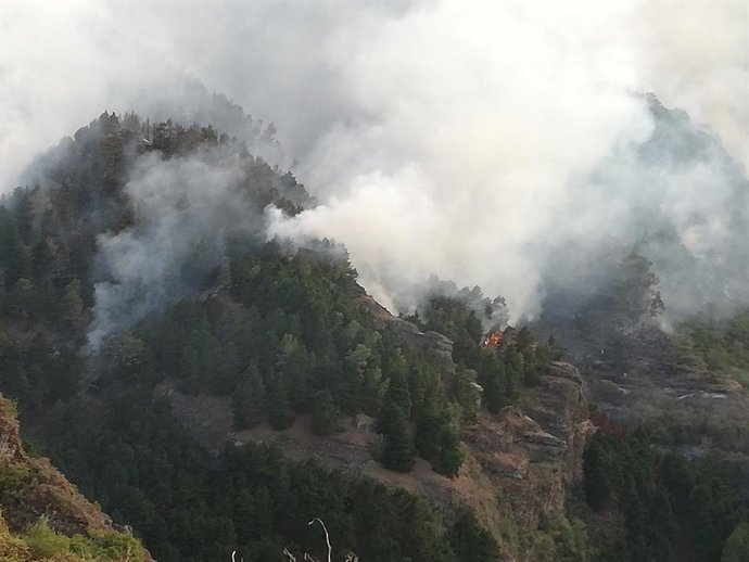 Incendio de Valleseco en la isla de Gran Canaria.