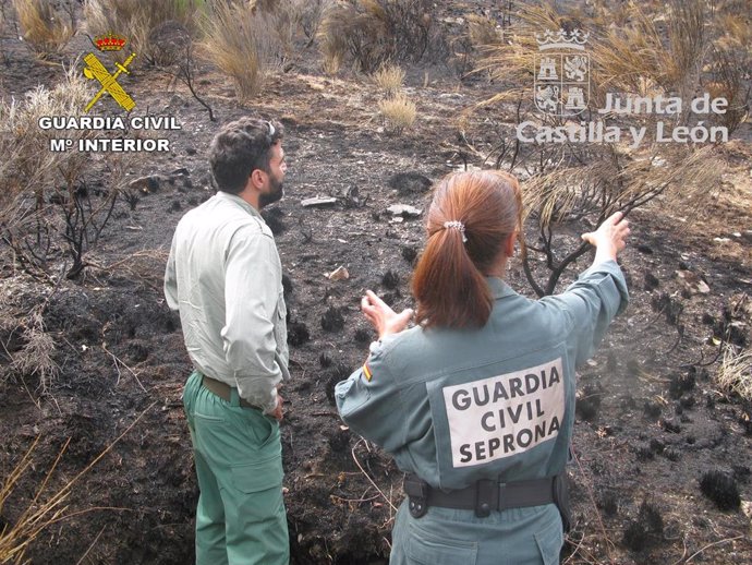 Incendio forestal en los montes de Paradilla de Gordón (León) el pasado 3 de agosto.