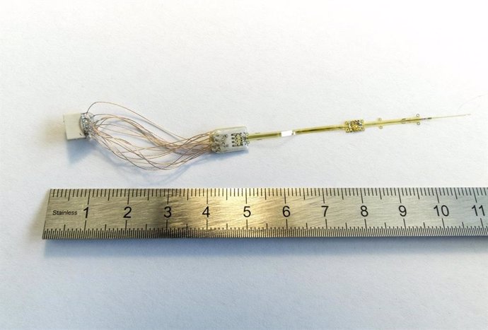Conjunto de electrodos OpticSELINE para la estimulación intraneural del nervio óptico, desarrollado en el Laboratorio de Ingeniería Neural Traslacional, y utilizado en estudios preliminares.