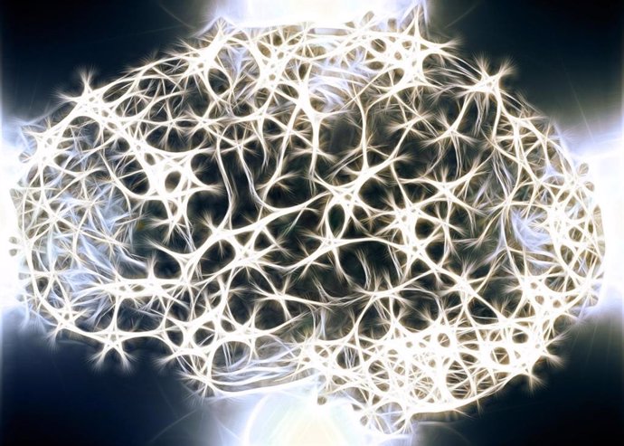 Cerebro, conexiones cerebrales