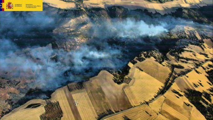 Labores de extinción del fuego originado en Guadalajara el domingo 18 de agosto