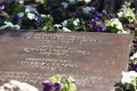 El Gobierno defenderá ante la OACI que toda aerolínea deba contar con un plan de asistencia a las víctimas