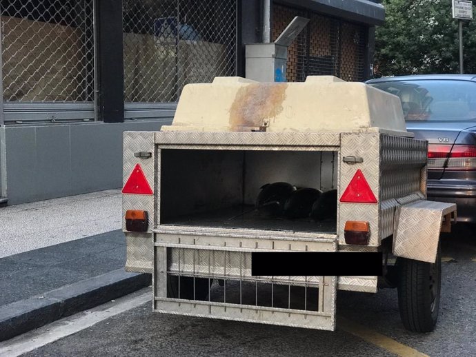 Decomisados en Vitoria 120 kg de bonito, transportado sin las debidas condiciones higiénico-sanitarias