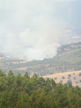 Incendio forestal en Valverde del Fresno