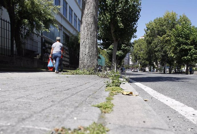 Presenza de malas herbas en rúas da Coruña