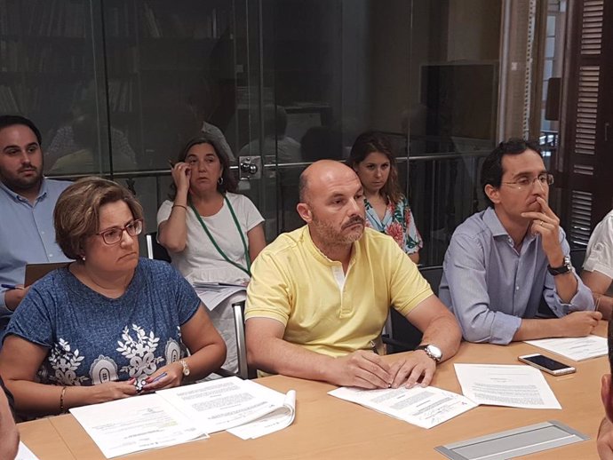El representante eln el Ayuntamiento de Palma, David Díez (centro) ,en la comisión de cuentas del Consistorio.