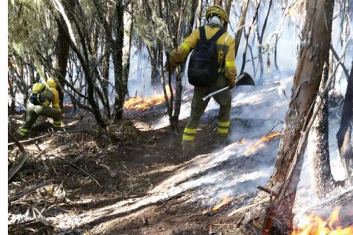 Bomberos forestales luchando contra las llamas en Canarias