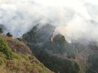 Se producen pequeñas reactivaciones en el incendio de Gran Canaria y se pide no subir a la cumbre
