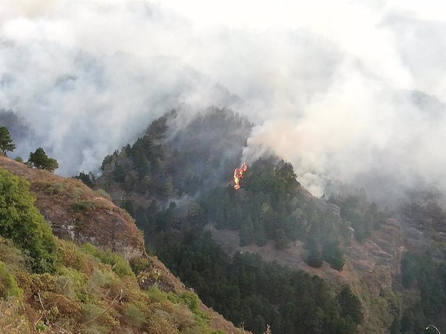 Incendio de Valleseco en la isla de Gran Canaria el fin de semana del 17 y 18 de agosto